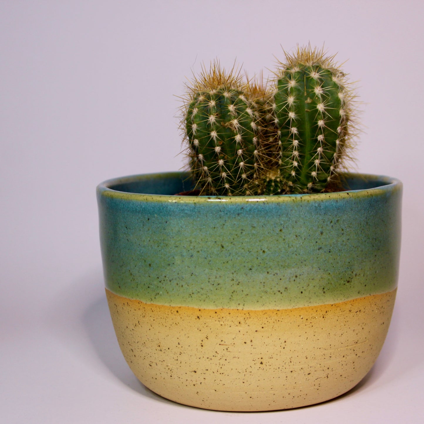 Kleine bloempot Turquoise