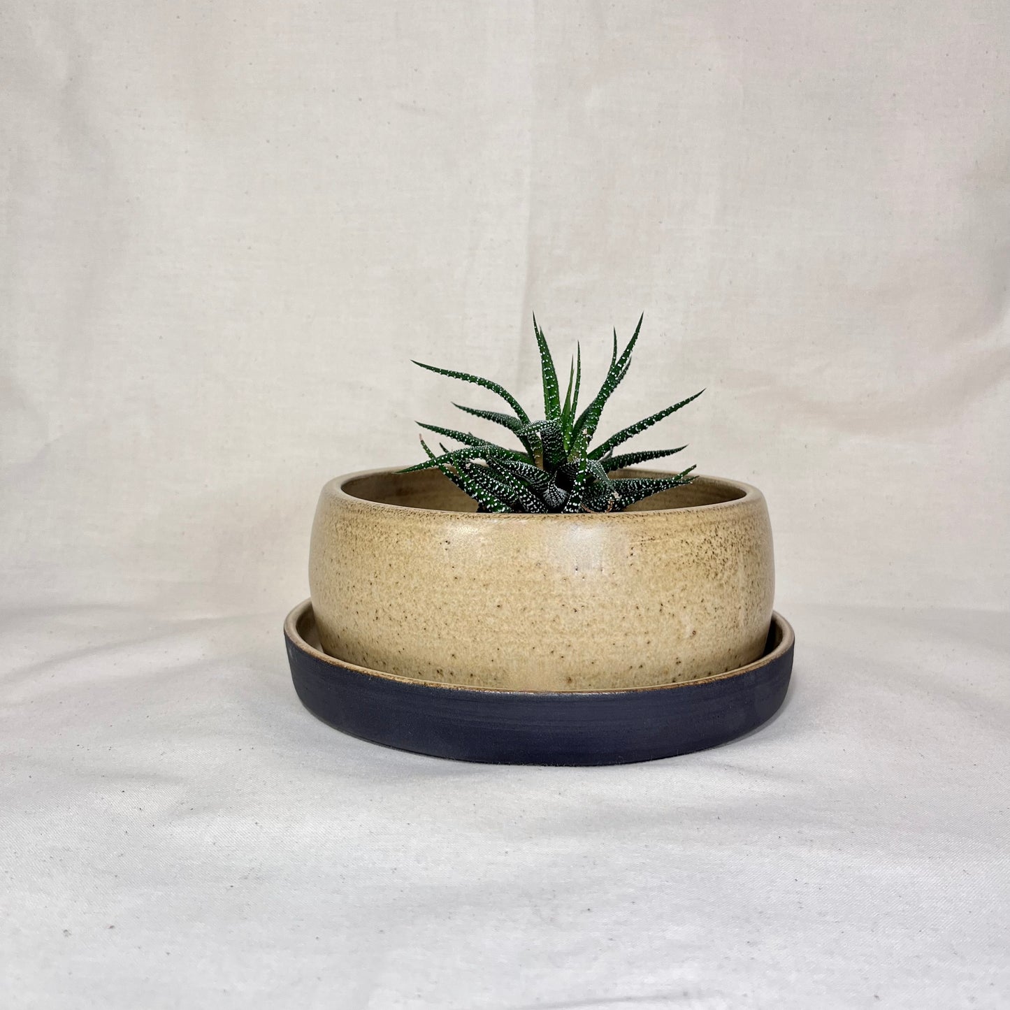 Bloempot met onderbord, Ø 16 x 7,5