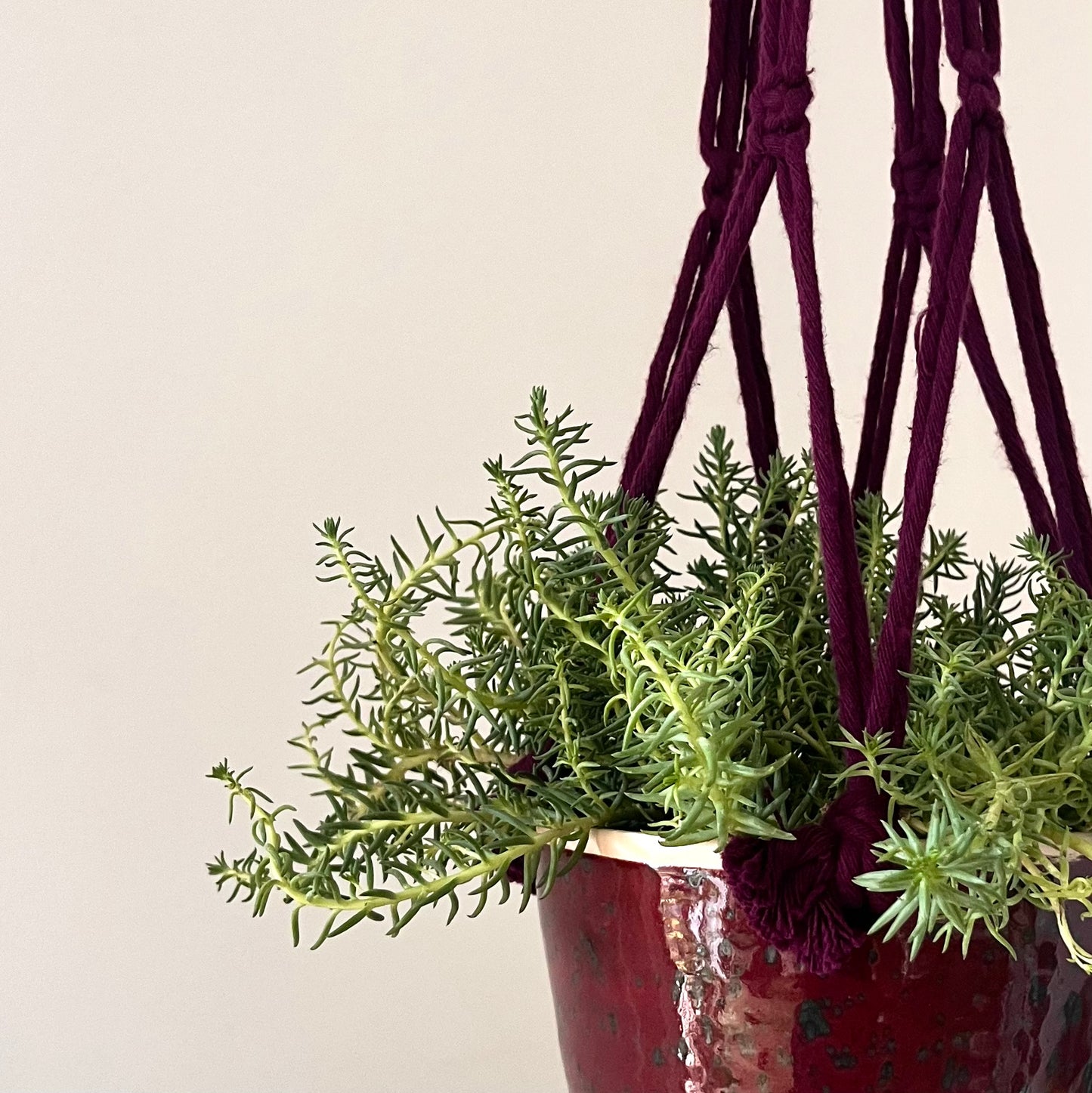 Hangpot bordeaux rood, Ø 16 x 13