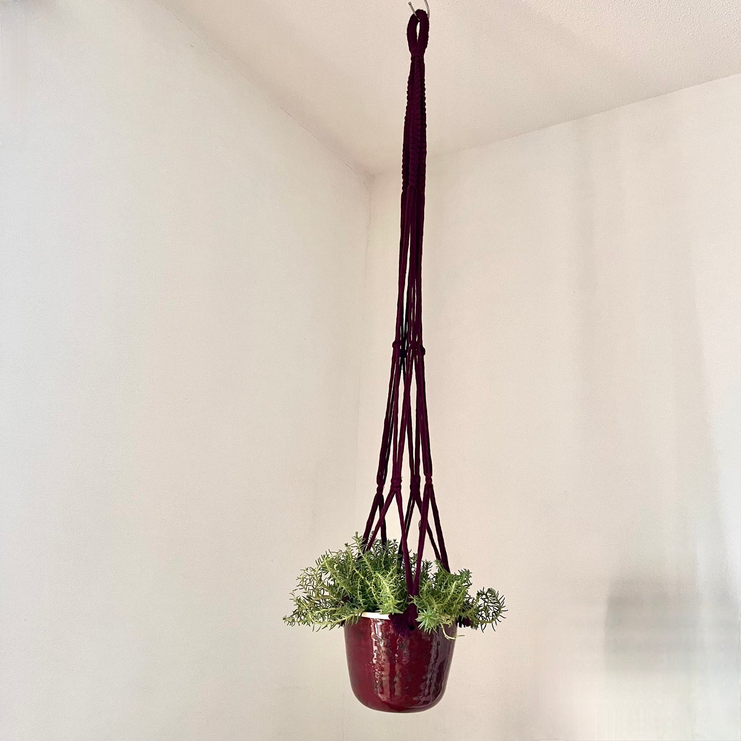 Hangpot bordeaux rood, Ø 16 x 13