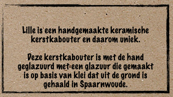 Lille de kerstkabouter