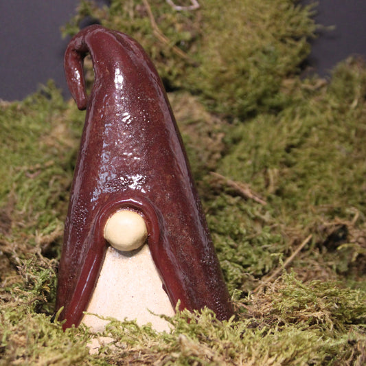 Dorus de kerstkabouter