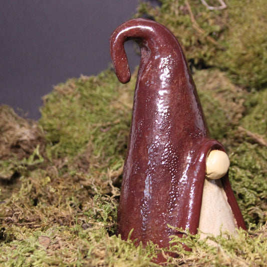 Dorus de kerstkabouter