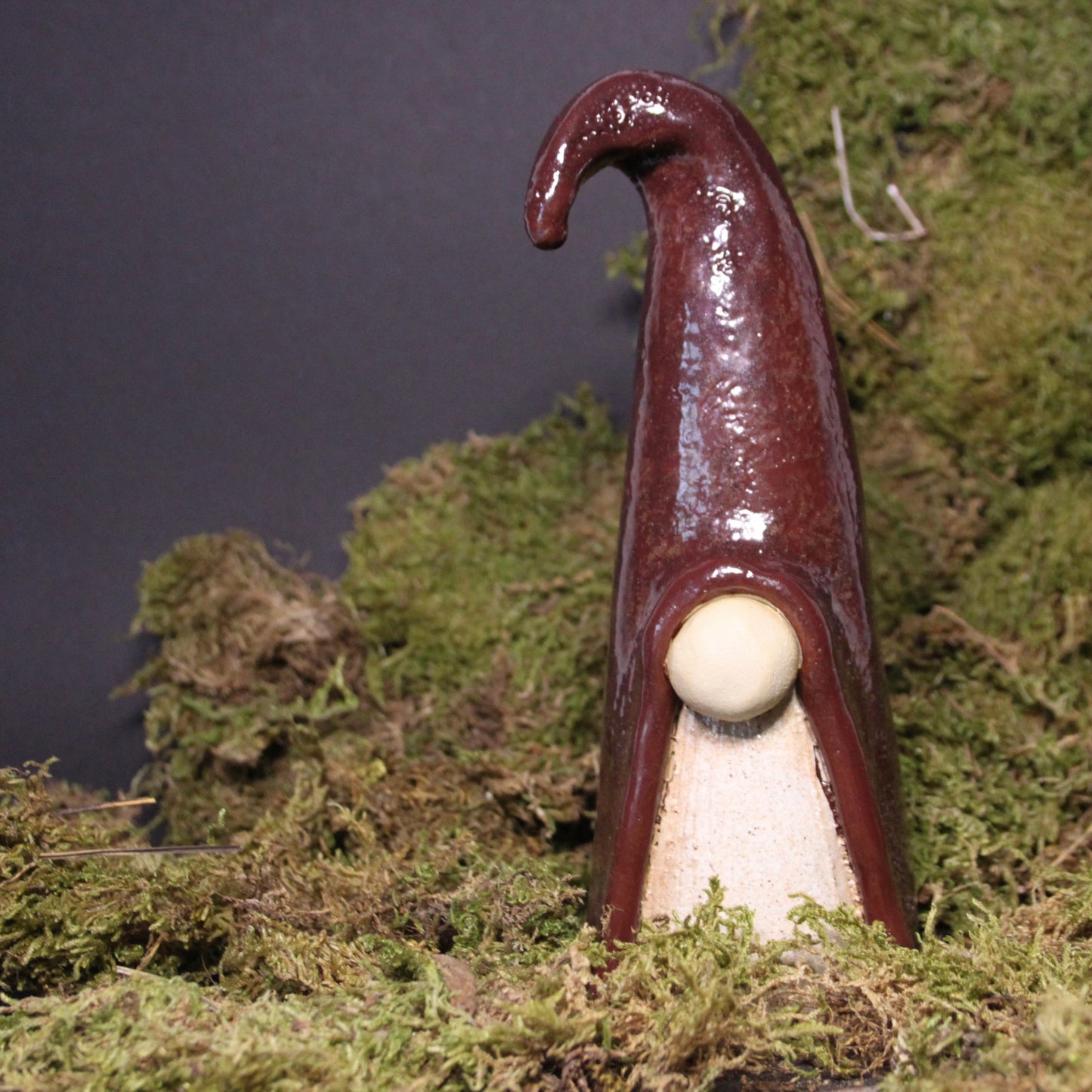 Jonus de kerstkabouter