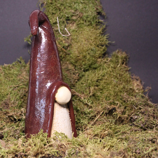 Jonus de kerstkabouter