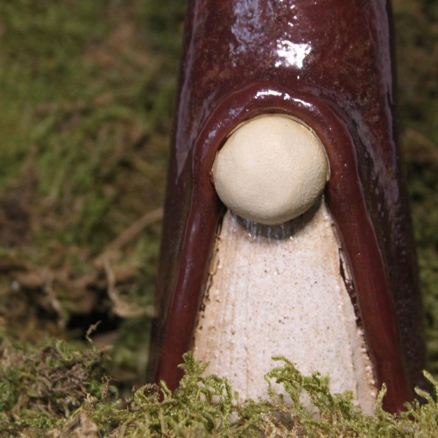 Jonus de kerstkabouter