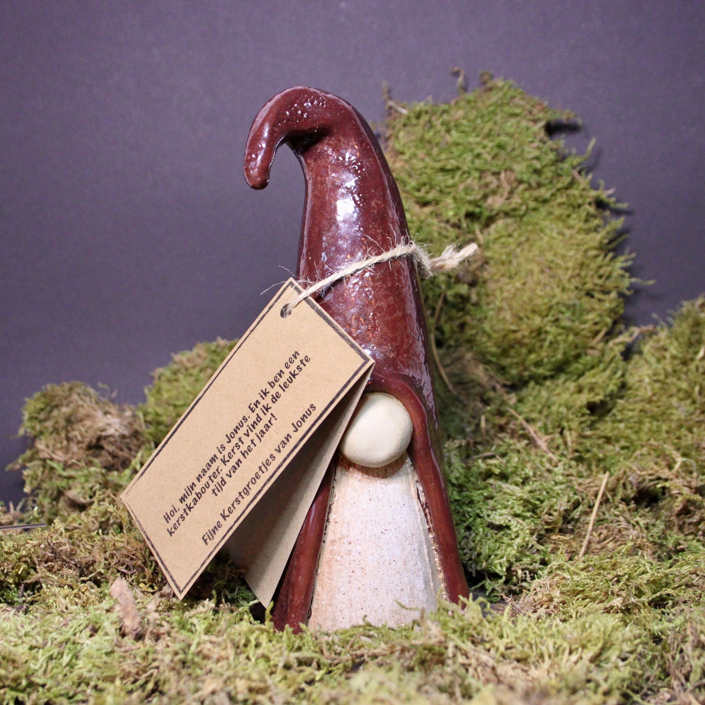 Jonus de kerstkabouter